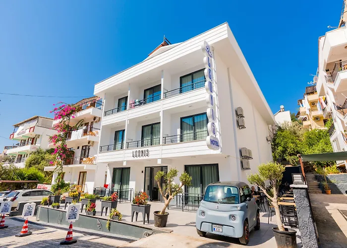Leonis 酒店 卡斯